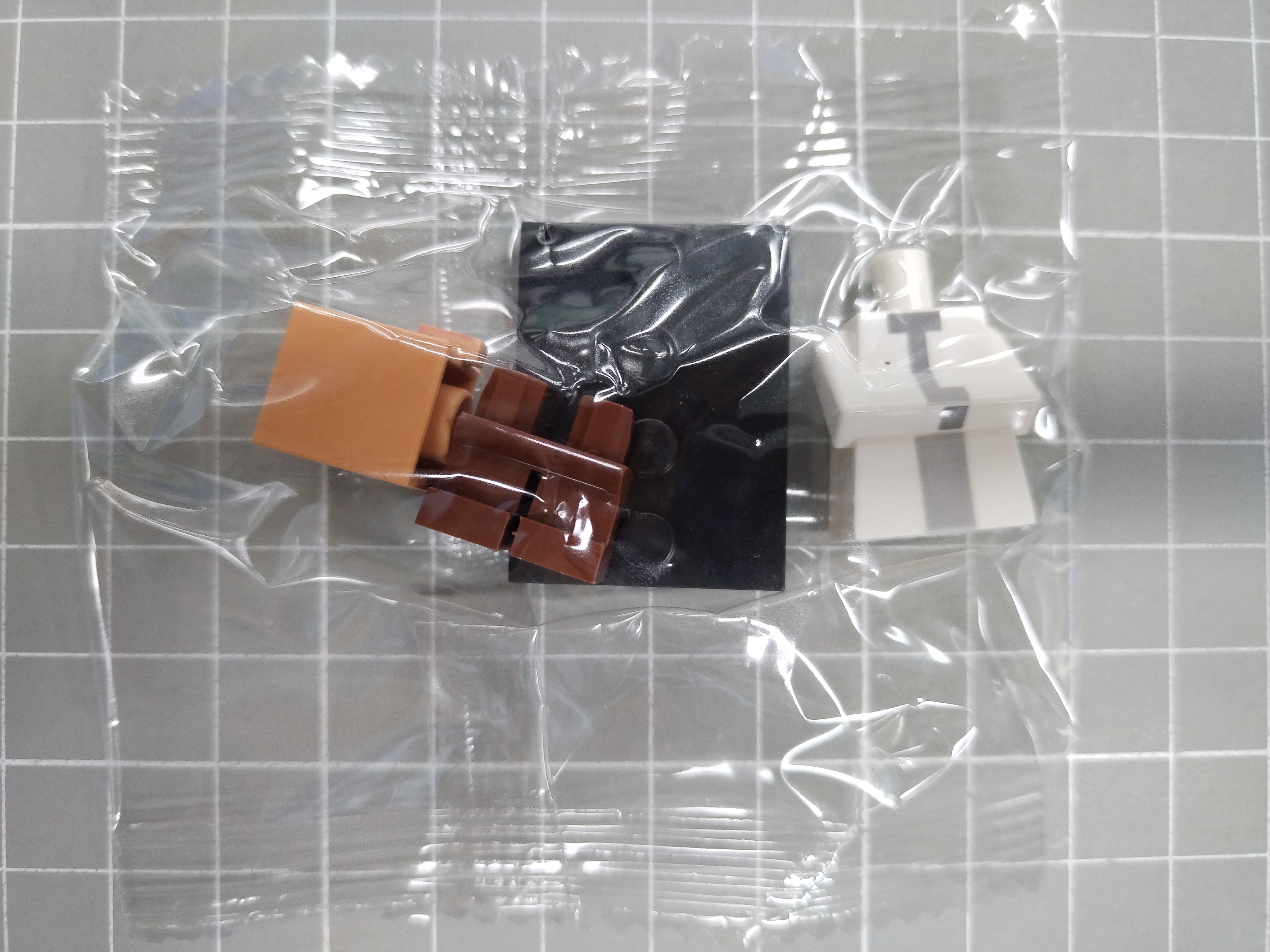 QC Photo - Lego Minecraft Figures