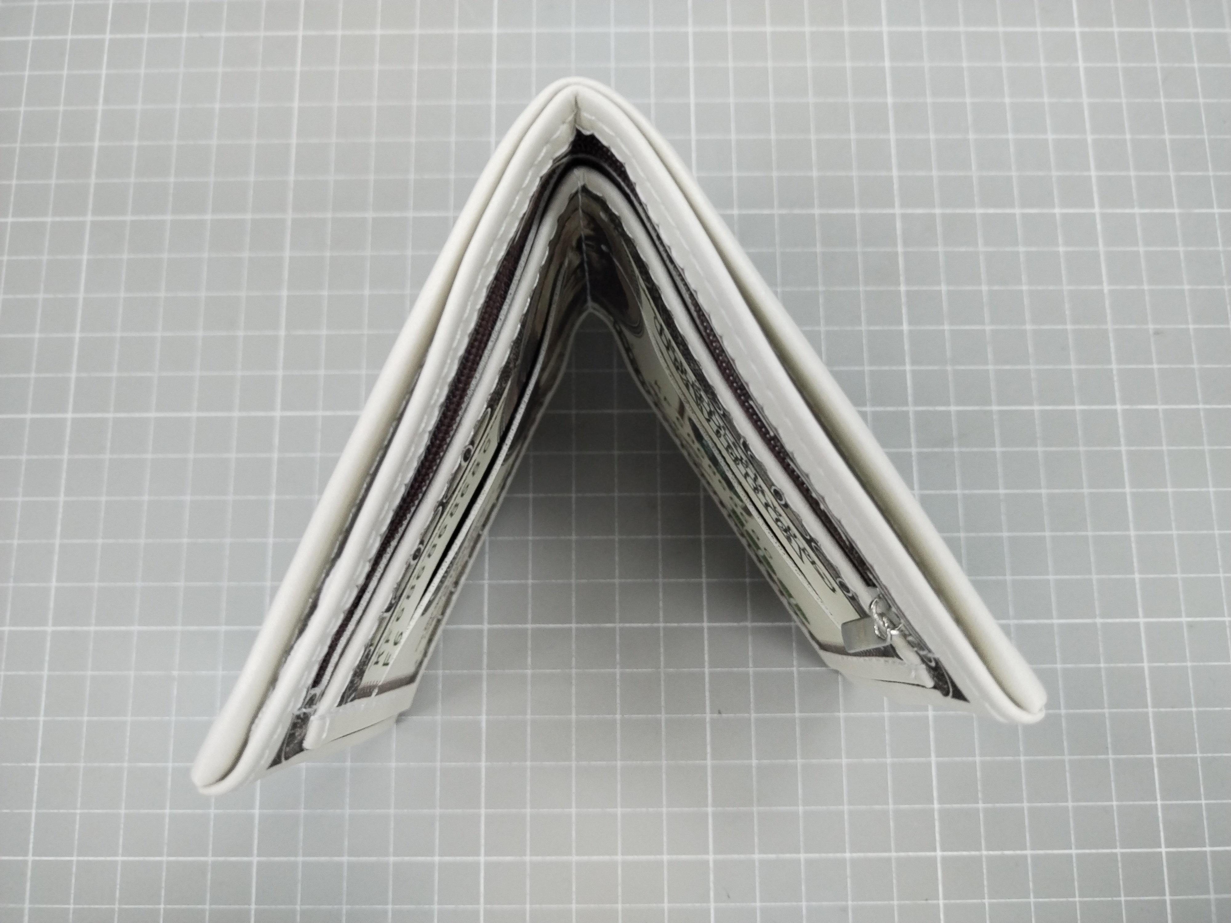 QC Photo - Dollar Bill Wallet