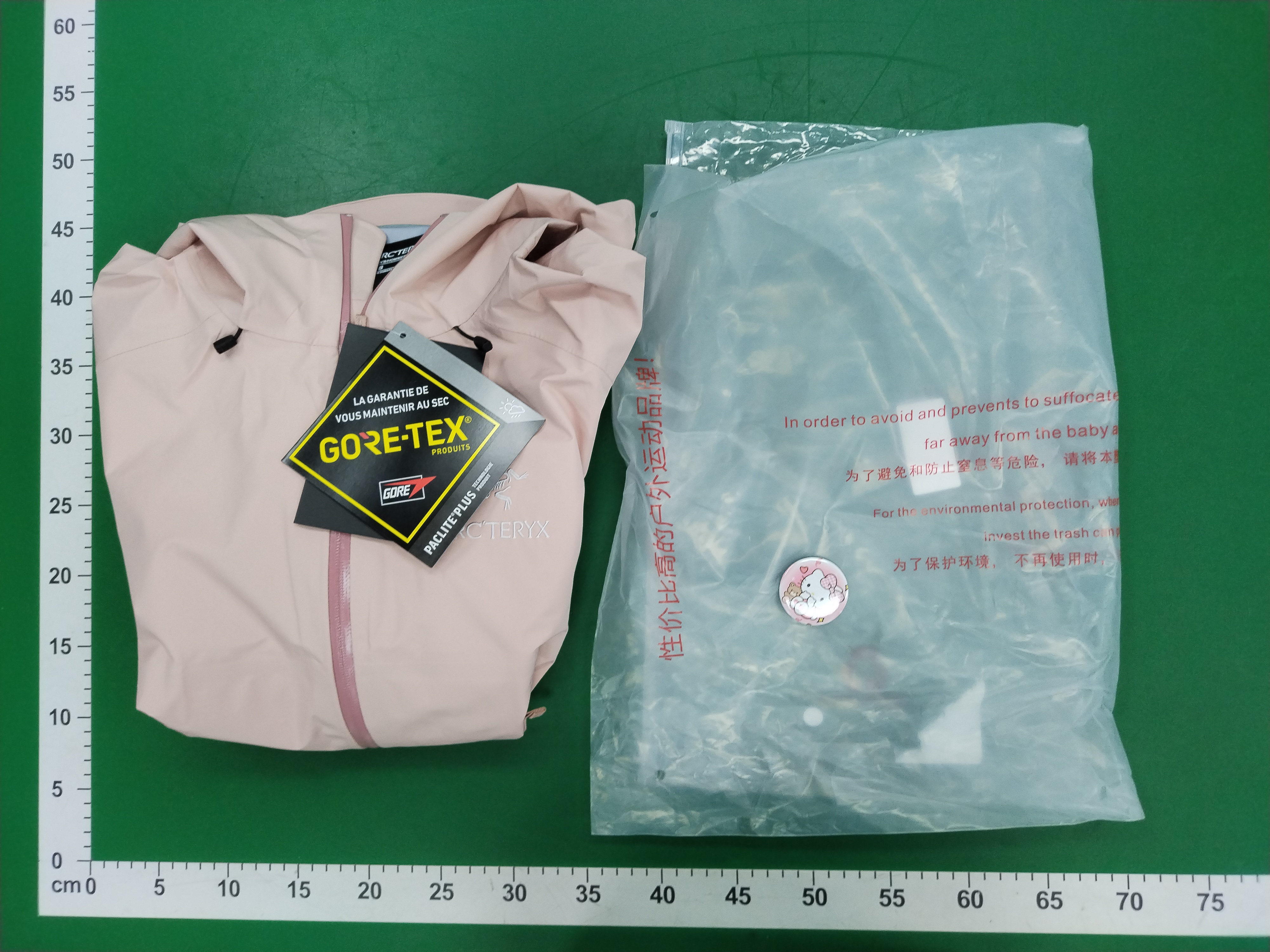 QC Photo - Arc'teryx x Beams Beta Jacket #1