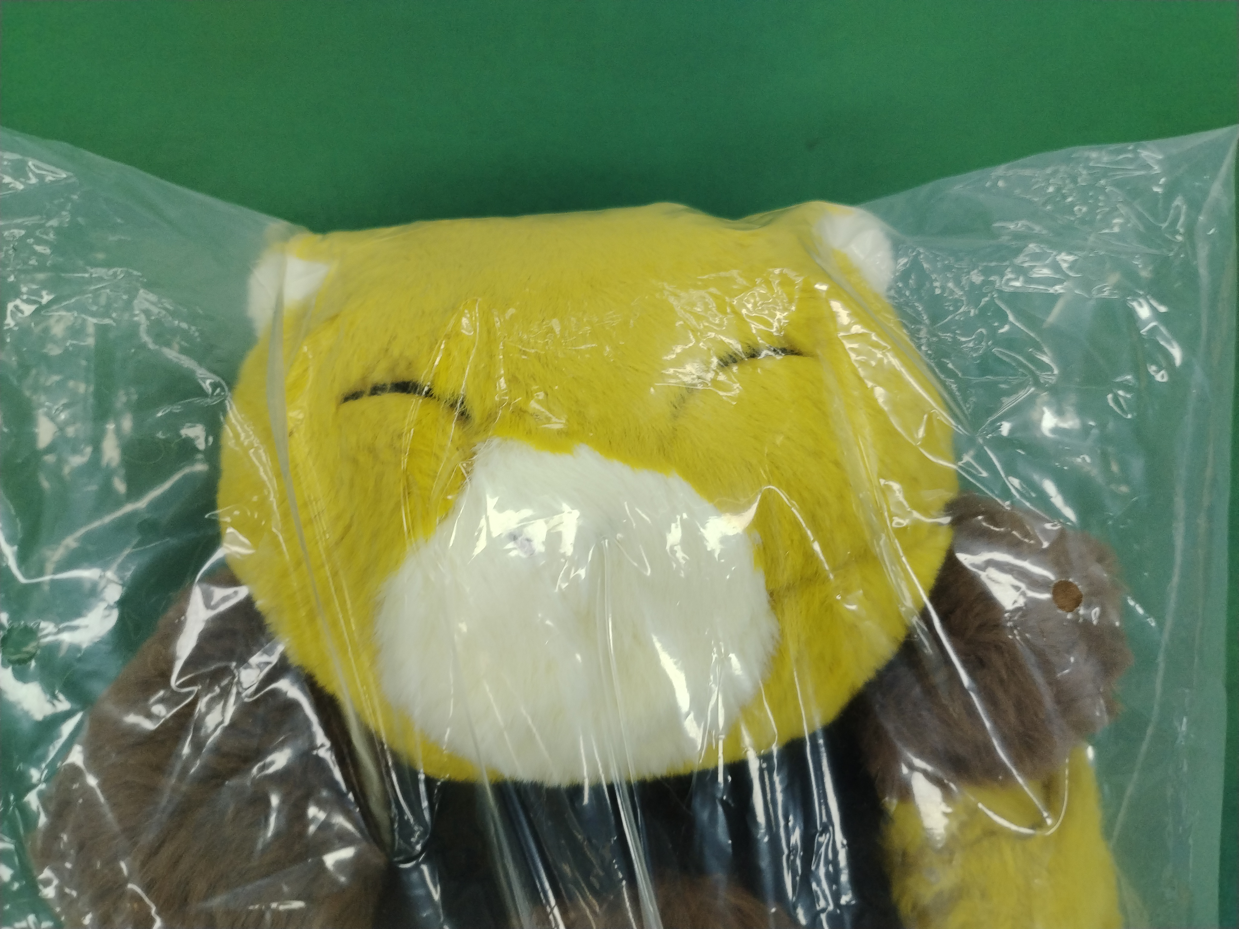 QC Photo - 4 Options Pokémon Toy 2